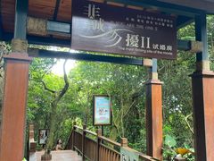 -亚龙湾热带天堂森林公园