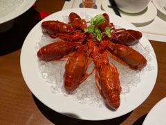 -觀芷隐轩