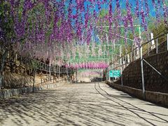-北京十三陵国家森林公园蟒山景区