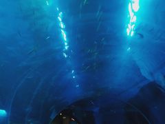 -成都浩海立方海洋公园