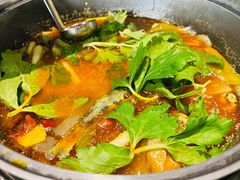黄腊丁-金三角黄腊丁(奥体店)