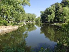 -上海共青森林公园