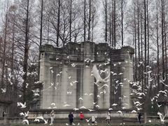 -音乐台