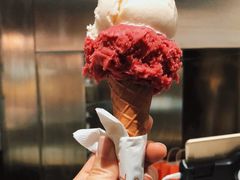 -Dip in Gelato(富民路店)