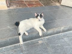 -Daorae Korean BBQ Tanjung Tokong