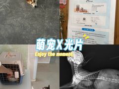 -亚宠动物医院·芭比堂宠物医院(盘龙店)