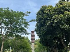 -红花山公园