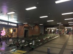 -厦门高崎国际机场-T3航站楼