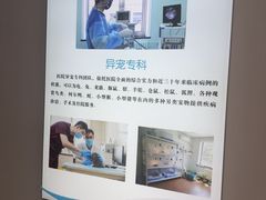 -北京观赏动物医院·24小时大型综合·猫专科·异宠专科