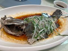 -大东海海鲜酒楼(渔人码头总店)