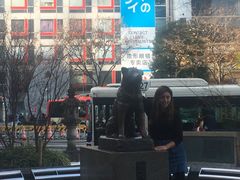 -涩谷区