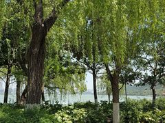 -云龙湖旅游景区