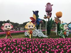 -上海鲜花港