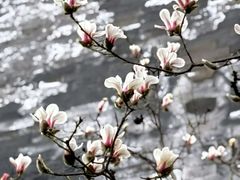 -东华门大街小区