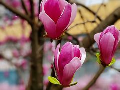 -万达广场(巴南店)