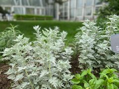 -国家植物园
