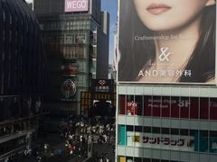 -蟹道乐(道顿堀本店)