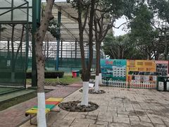 -成都高新创新角度网球俱乐部