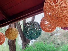 -南宫五洲植物乐园