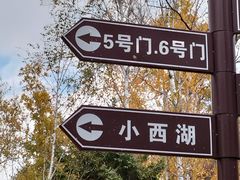 -长春市南湖公园