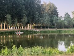 -东郊湿地公园