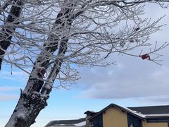 -中旅松花湖滑雪场