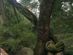 -绮园景区