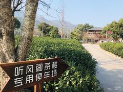 -听风阁农家私房菜茶楼(龙坞店)