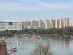 -青枫公园