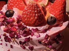 -维尔纳斯·生日蛋糕·动物奶油冰淇淋蛋糕(六里桥店)