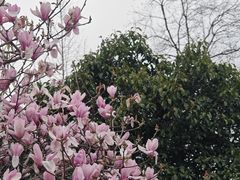 -堤角公园