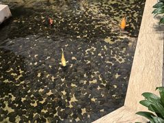 -白天鹅宾馆-宏图府餐厅
