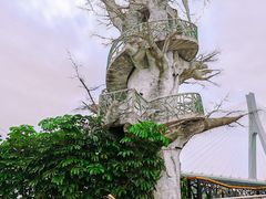 -芒洲湿地公园