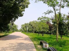 -盘龙城国家考古遗址公园