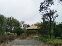 -淇河国家湿地公园