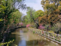 -南汇桃花村