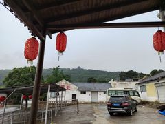 -呼吸森林·生态农庄农家乐私房菜