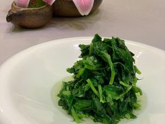 豆苗-虹御轩·传承江浙菜(虹桥店)