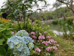 -人民公园(罗湖区)