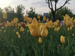 -长春公园(普阳街道)