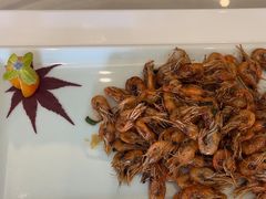 -骏莱海鲜鱼港(五角场店)