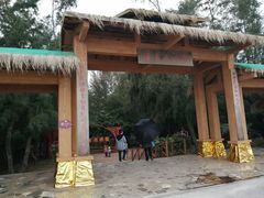 -北海金海湾红树林生态旅游区