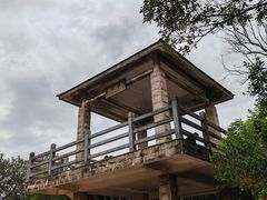 -东莞市大岭山森林公园