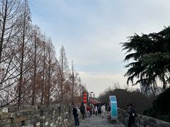 -南京城墙景区
