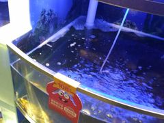 -七欣天香辣蟹火锅(上海银亿滨江店)