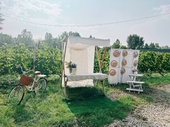 -安德鲁户外烧烤帐篷营地(马泉营店)