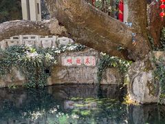 -蝴蝶泉公园