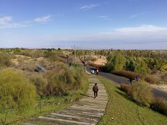 -亿利库布其七星湖沙漠生态旅游区