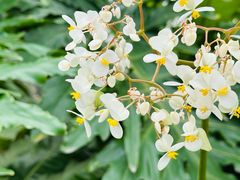 -北京植物园-展览温室