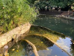 -成都市活水公园